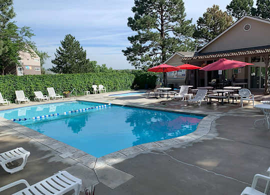 Pool at The Pines Apartments in Lakewood CO