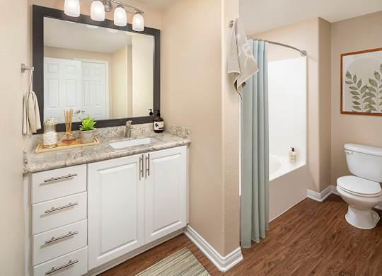 Bathroom at Cresterra Apartments in San Marcos CA