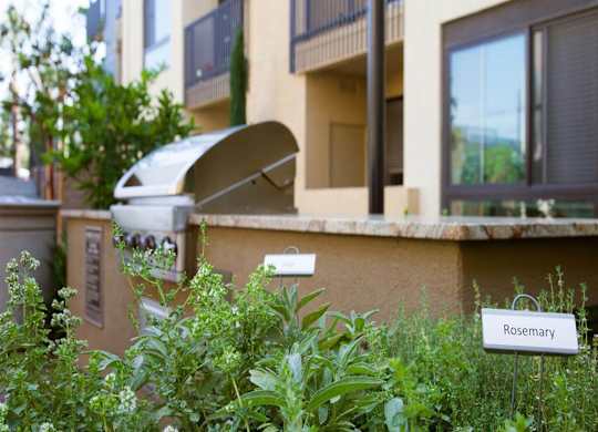 BBQ area at Terrena Apartments in Northridge, CA