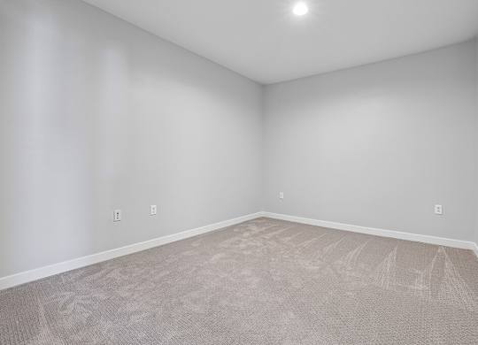 A room with a carpeted floor and two switches on the wall.