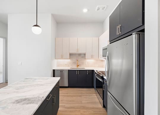 Penthouse Design Package Kitchen Details at 1810 Main Apartments in Houston TX