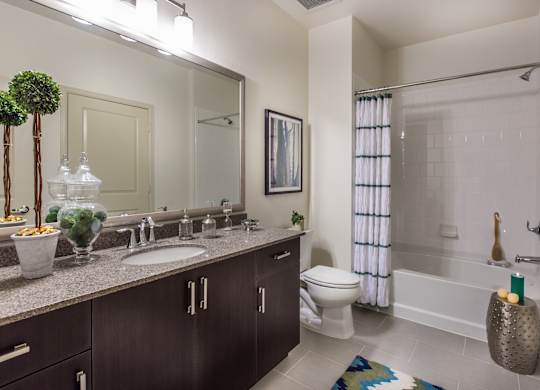 Bathroom at Venue Apartments in San Jose CA