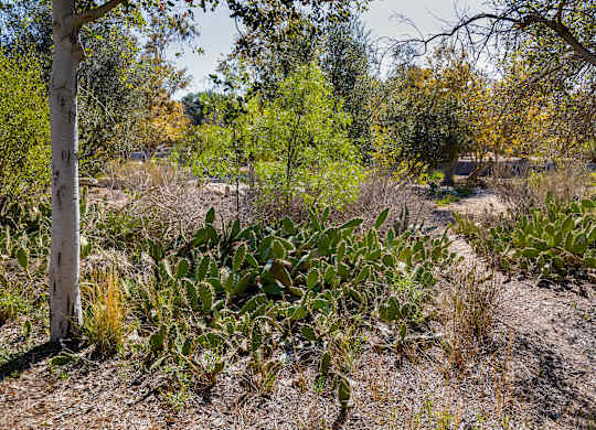 Green park near Vita Apartment Homes in Orange CA