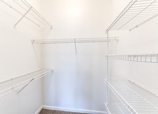 Oversized Closet at Hollow Creek in Conroe TX