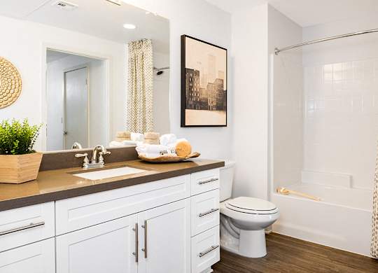 Bathroom at Apex apartments in Laguna Niguel CA