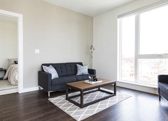 A black couch with white pillows sits in a living room with a coffee table in front of it.