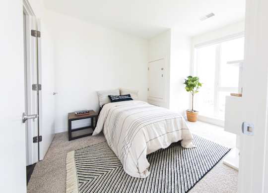 A bedroom with a bed, pillows, a small table, and a potted plant.