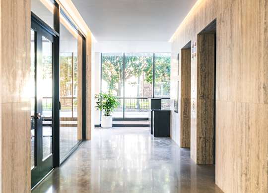A long hallway with a black door on the left and a plant in a white pot on a table in the middle.