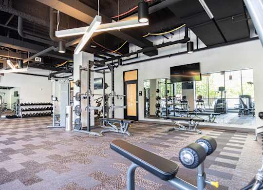 A gym with a variety of equipment including a squat rack, dumbbells, and a bench.