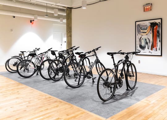 Bicycle at The Assembly, Michigan, 48216