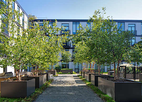 city-mews-city-modern