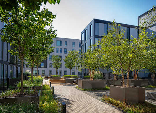 a courtyard with trees and buildings in the background