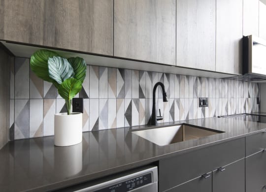 Kitchen faucet in front of elegant backsplash at The May.