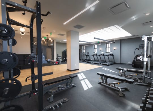 GYM at The Press/321, Michigan