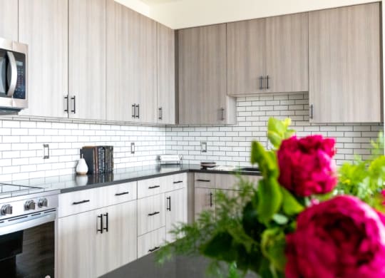 Kitchen Cabinets with Appliances at The Assembly, Detroit, MI