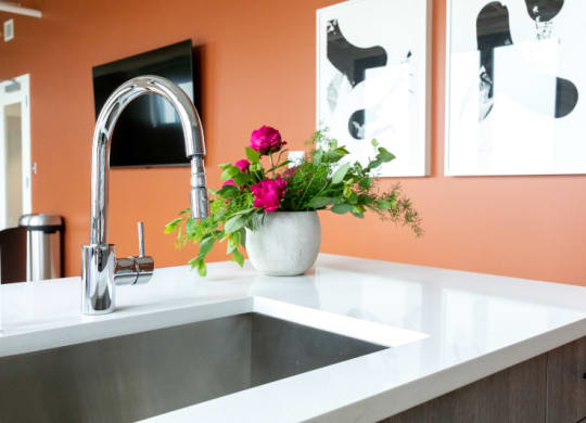 Kitchen Sink with a Vase of Flowers at The Assembly, Detroit, MI