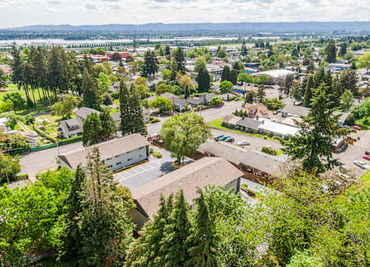 A view of a town from a high vantage point.