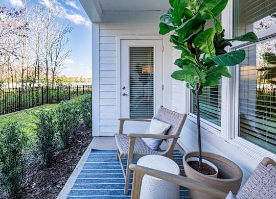 A small tree in a pot sits on a porch.