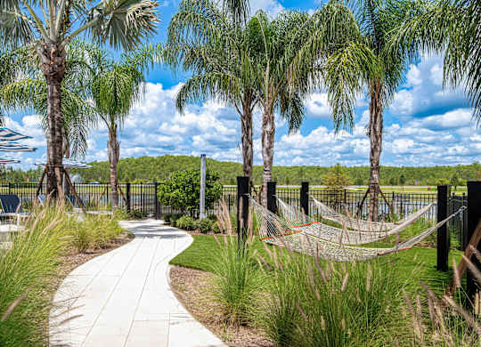 A pathway with palm trees on either side.