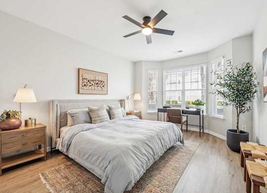 A bedroom with a large bed, a ceiling fan, and a wooden nightstand with a lamp and a plant on it.