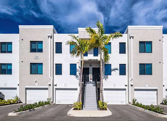 A white building with a palm tree in front.