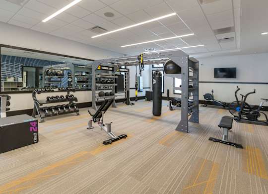 A gym with a variety of equipment including a squat rack, dumbbells, and a bench press.