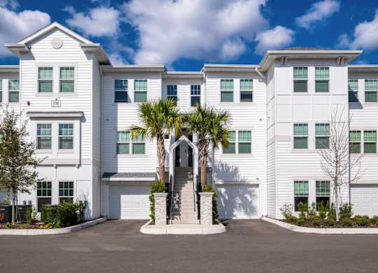 A white building with a palm tree in front.