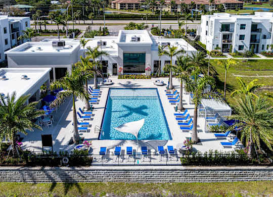 A large swimming pool surrounded by palm trees and lounge chairs.