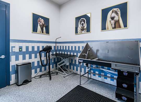 A room with a blue and white checkered floor and a table with a black bag on it.