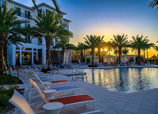 A poolside area with sun loungers and palm trees.