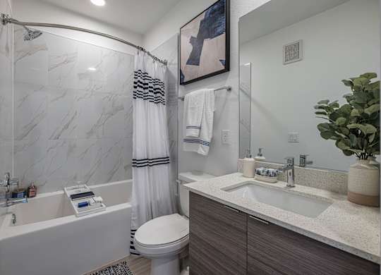 A bathroom with a marble shower, white toilet, and a plant.