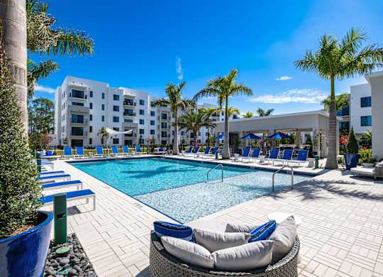 A pool area with lounge chairs and palm trees.