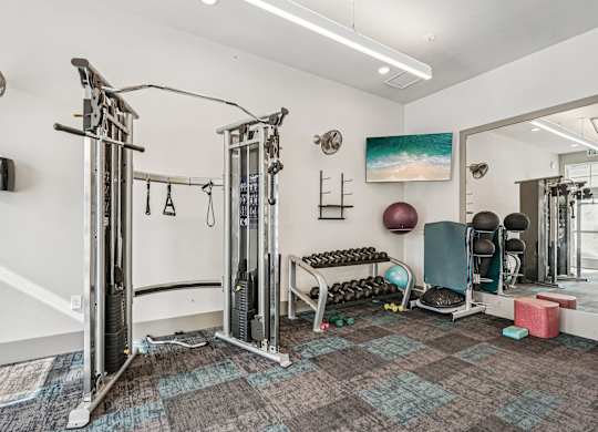 A gym with a variety of equipment including a squat rack, a bench, and a punching bag.