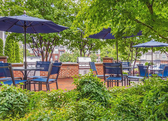 A patio with blue umbrellas and chairs surrounded by green plants.
