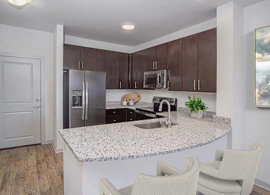 Charlotte, NC, Apartments Near Charlotte Premium Outlets - Gramercy Square at Ayrsley - Kitchen with Breakfast Bar, Bar Chairs, Stainless Steel Appliances, and Luxury Vinyl Plank Flooring.