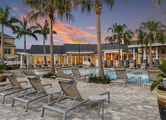 A poolside area with lounge chairs and palm trees.