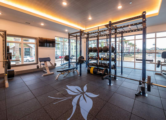 Apartments for Rent Lewisville TX - Spacious Fitness Center with Weight Station, Squat Rack, and TV