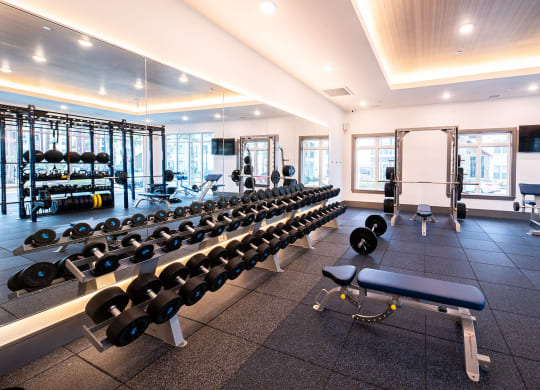 Lewisville Apartments for Rent - Hebron 121 Station - Spacious Fitness Center With Dumbbells and Bench Press Station