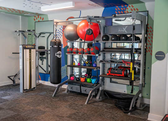 A gym with a punching bag, weights, and exercise equipment.