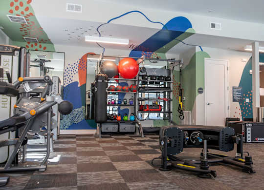 A gym with a variety of equipment including a treadmill, a stationary bike, a rowing machine, and a weight rack.