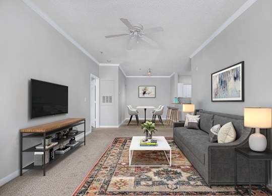 A living room with a grey couch, a coffee table, a television, and a rug.