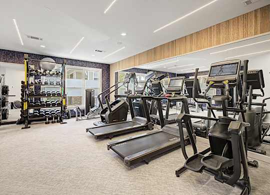 A gym with treadmills, weights, and other exercise equipment.