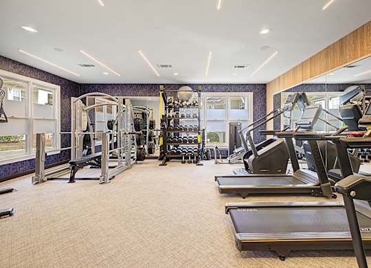 A gym with treadmills, weights, and exercise equipment.