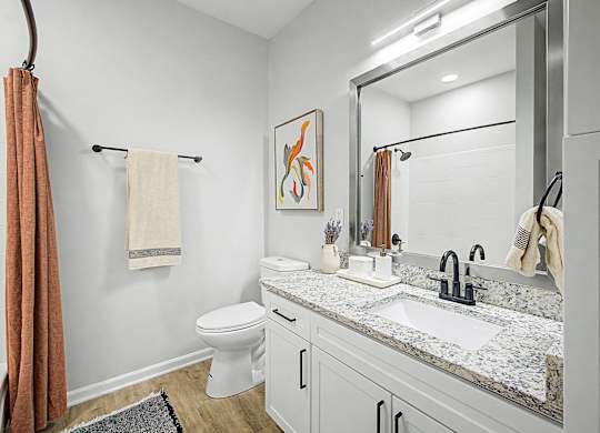A bathroom with a toilet, sink, and mirror.