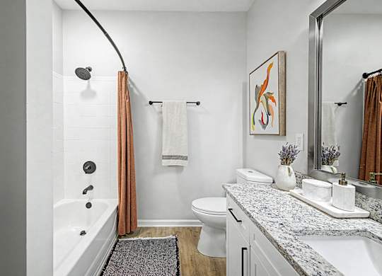 A bathroom with a white tub and toilet, a marble countertop, and a painting on the wall.