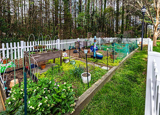 A garden with a white picket fence and a green net.