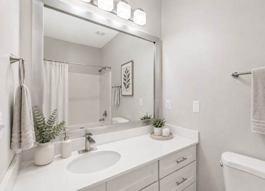 A white bathroom with a sink, mirror, and a plant.