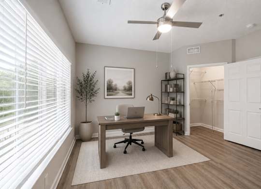 A room with a desk, chair, and a plant.