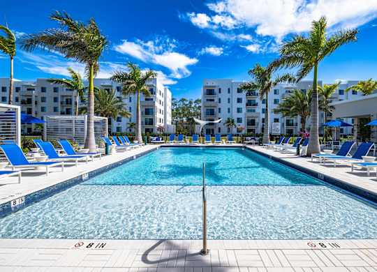 A large swimming pool surrounded by palm trees and lounge chairs.