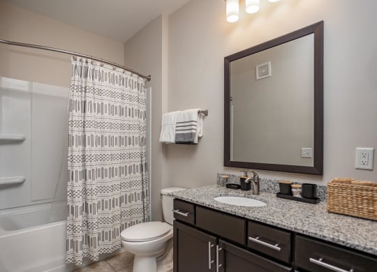 a bathroom with a shower toilet and sink and a mirror